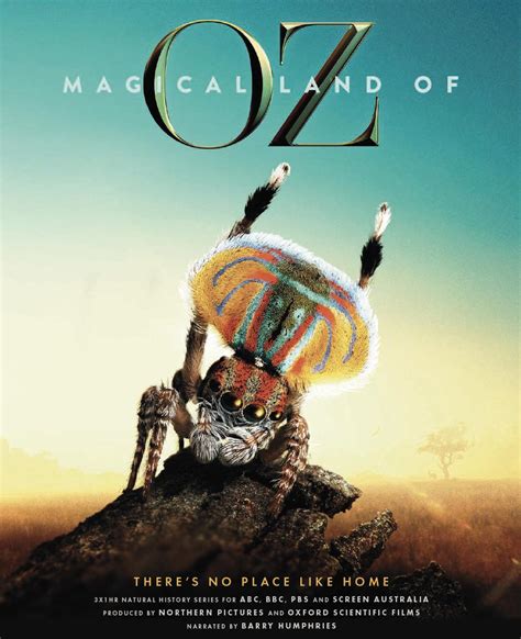 The magucal land of wizz